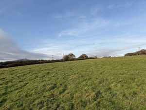 Photo 2- click for photo gallery